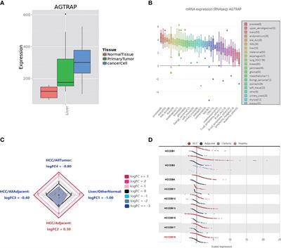 AGTRAP Is a Prognostic Biomarker Correlated With Immune Infiltration in Hepatocellular Carcinoma